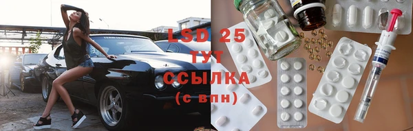 прущие грибы Краснотурьинск