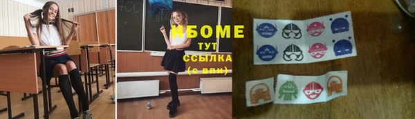прущие грибы Краснотурьинск
