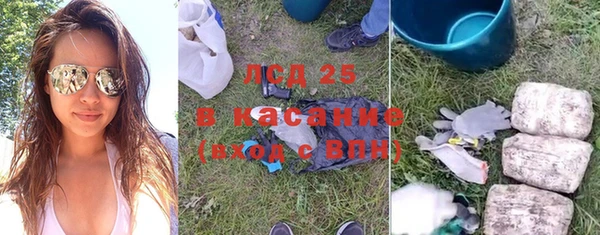 прущие грибы Краснотурьинск