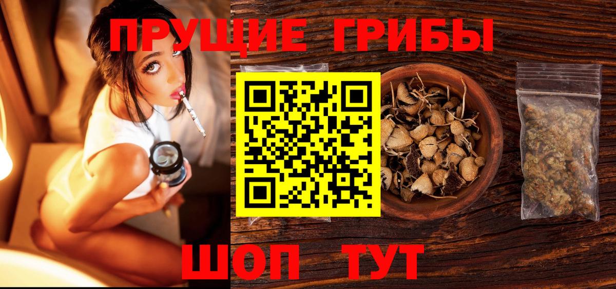 где можно купить наркотик  Кубинка  Псилоцибиновые грибы MAGIC MUSHROOMS 