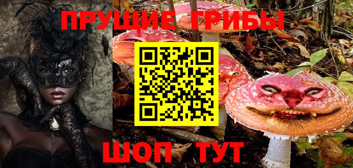 Псилоцибиновые грибы Psilocybine cubensis Кубинка