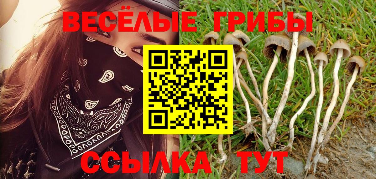 Псилоцибиновые грибы ЛСД  Вход с VPN  Кубинка 