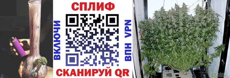 Марихуана сатива  купить закладку  Кубинка 